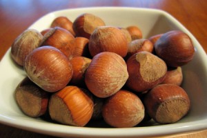 oregon-population-2013-hazelnuts